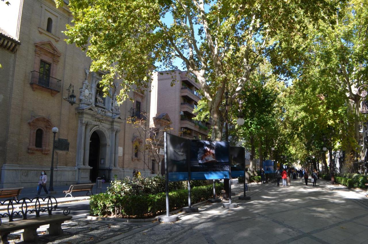 Carmela Suites Apartamento De Dos Dormitorios Granada Buitenkant foto